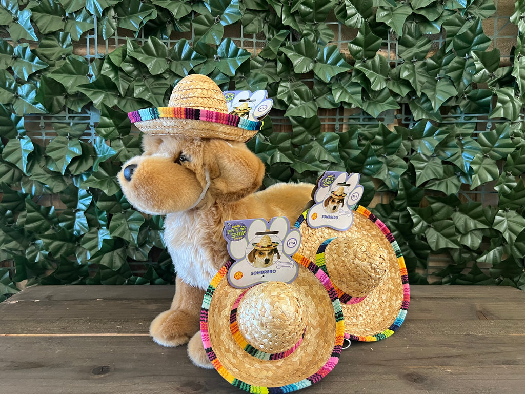 Dog/Cat Sombrero