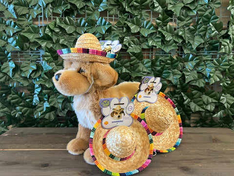 Dog/Cat Sombrero
