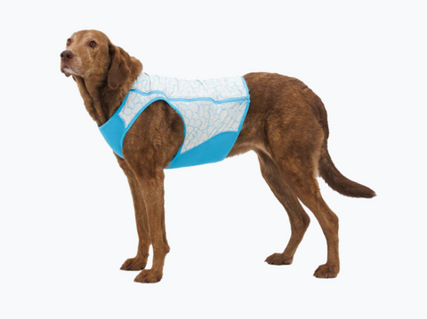 Ruff Wear  Swamp Cooler ZIP Cooling Dog Vest