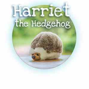 Fluff and Tuff Harriet Hedgehog